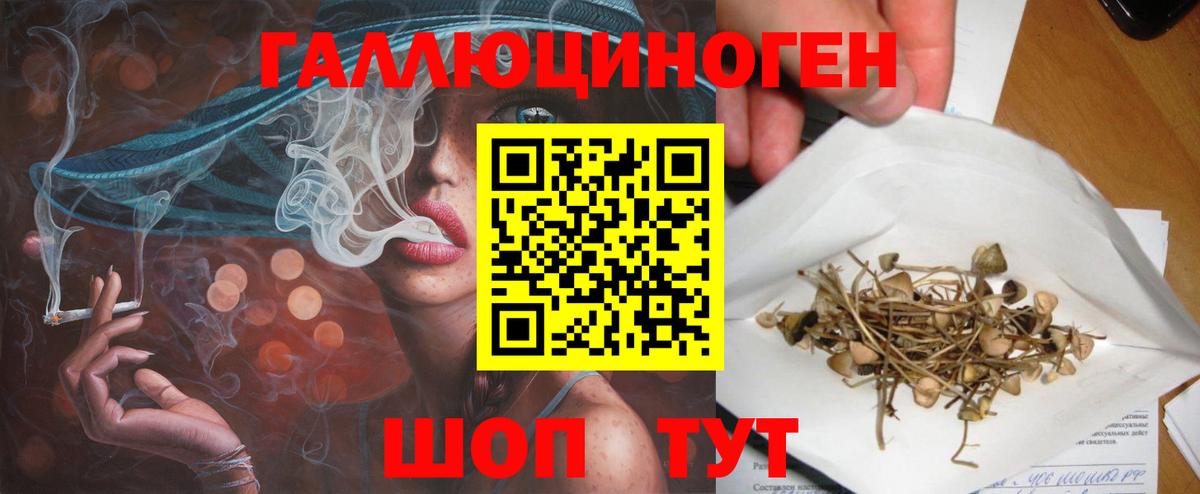 Псилоцибиновые грибы Psilocybine cubensis  Вход с VPN  Горячий Ключ 